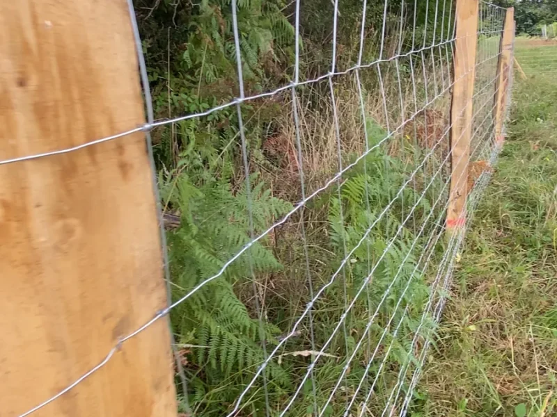 Réalisation de pose de clôtures par l'entreprise JMS, entreprise de pose de clôtures et gazon synthétique à Annezay